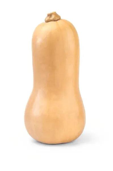 Pumpkin Butternut - kg