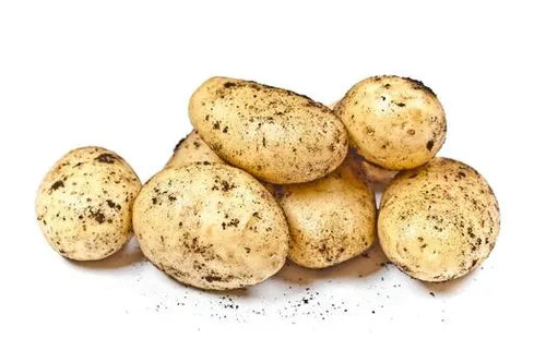 Potato Nicola - kg