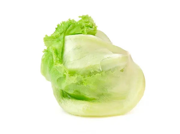 Lettuce Iceberg - Each