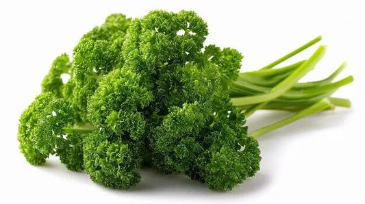 Parsley - Bunch