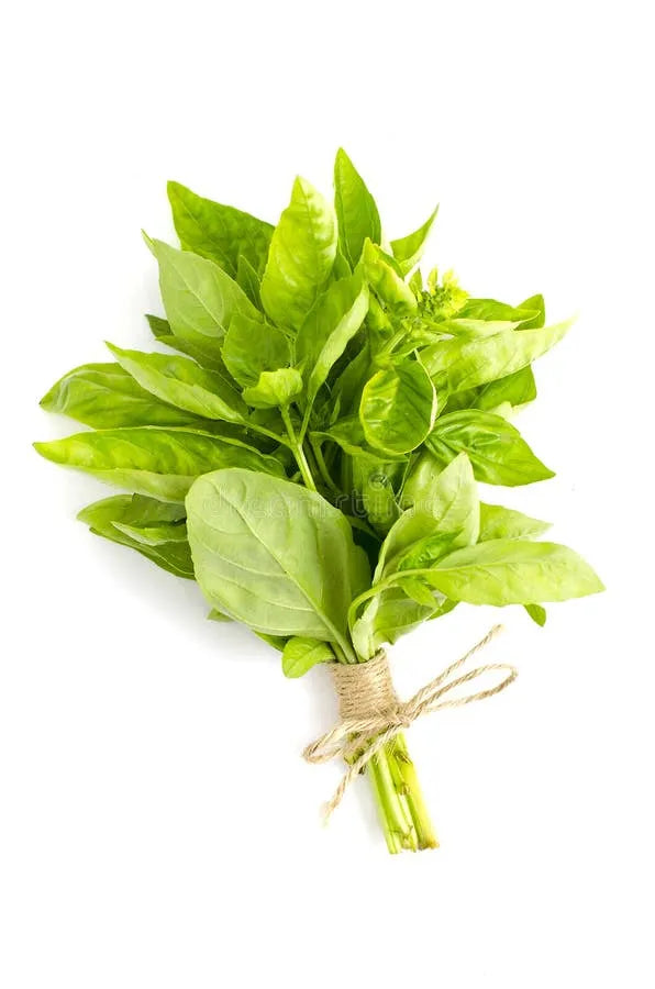 Basil - Bunch