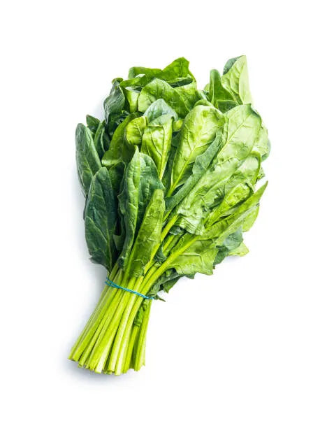 Spinach - Bunch