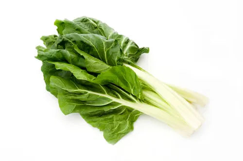Silverbeet - Bunch