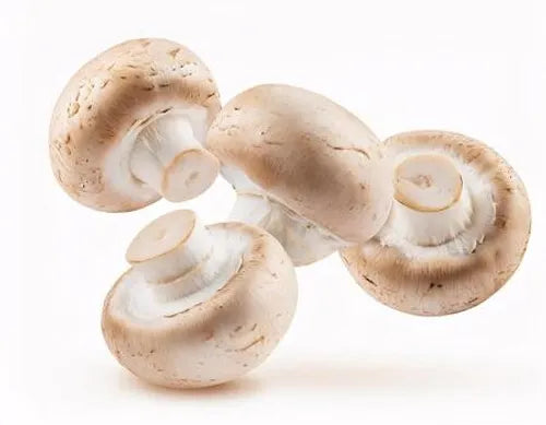 Mushrooms White - kg
