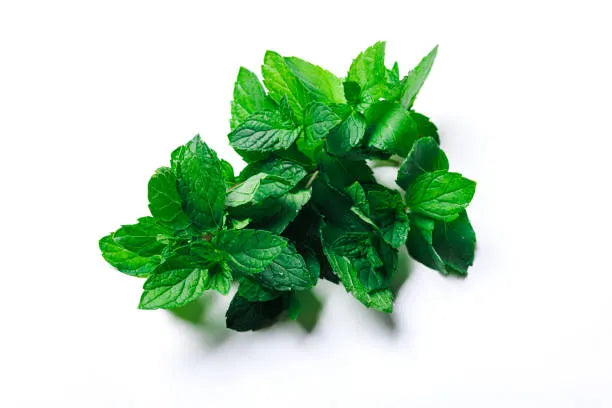 Mint - Bunch