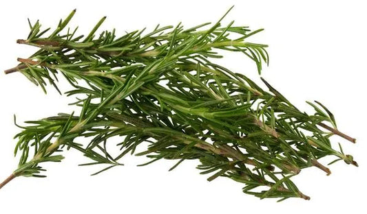 Rosemary - Bunch