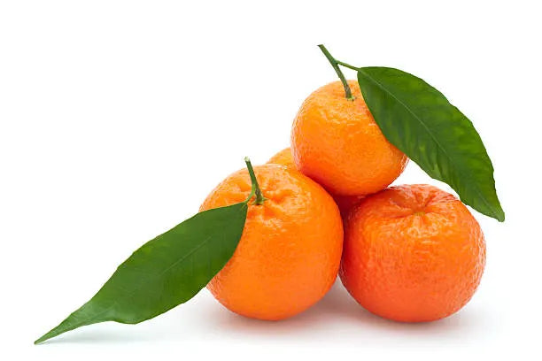 Oranges - kg
