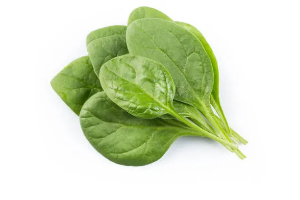 Baby Spinach - kg