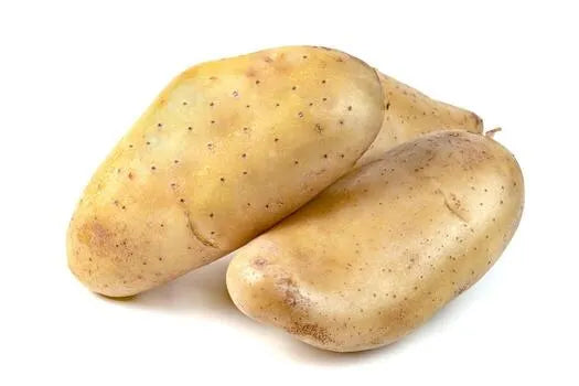 Potato Dutch Cream - kg