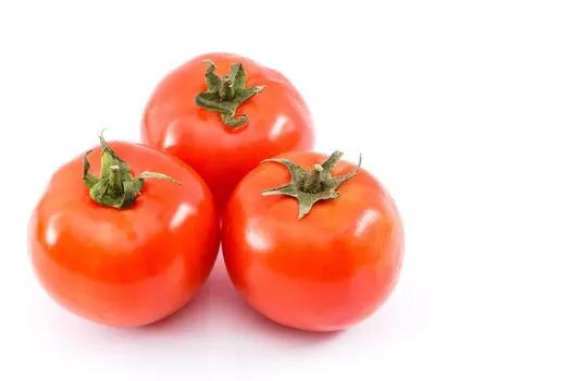Tomatoes - kg