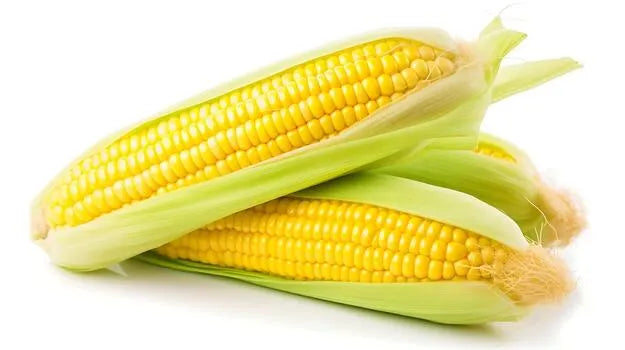 Sweet Corn - kg
