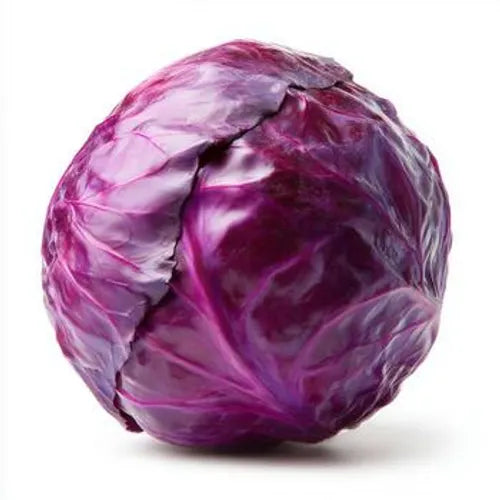 Cabbage Red - Whole Only